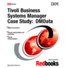 Tivoli Business Systems Manager Case Study:  DMData