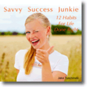 Savvy Success Junkie 12 Habits For Life Done Right