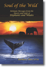 Soul of the Wild: Intimate Messages from the Hearts and Souls of Elephants and Whales
