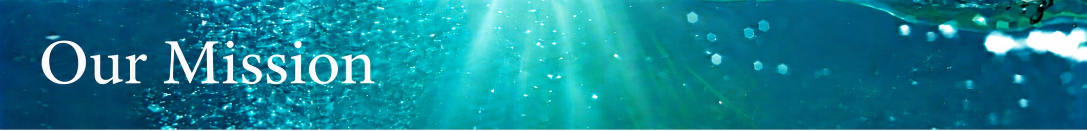 Vervante mission banner - Empowering Creativity and Growth