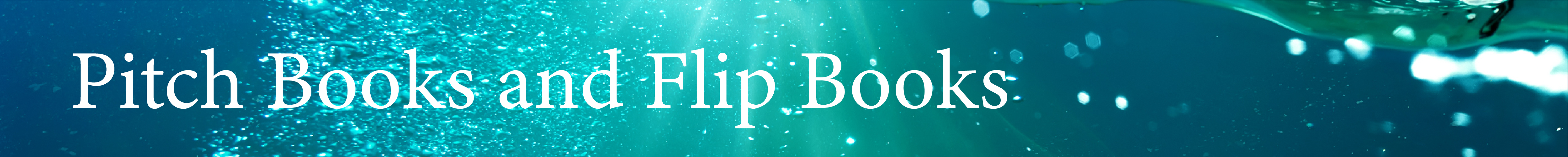 Custom Flip Books and Pitch Books Printed in the USA by Vervante