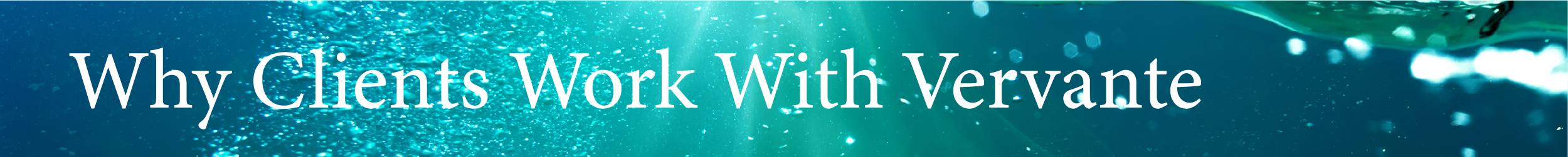 Why Clients Work With Vervante