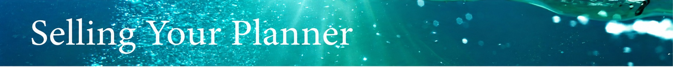 Selling Your Planner