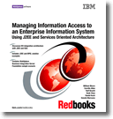 Managing Information Access to an Enterprise Information System Using J2EE and Services Oriented Architecture