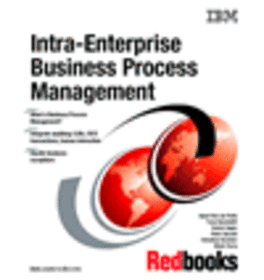 Intra-Enterprise Business Process Management