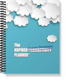 The Nspired Success Strategies Planner - Lt Blue