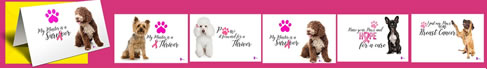 Paw Greeting Card Set (6 Different Cards + Envelopes)