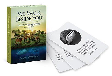 We Walk Beside You Animal Message Cards