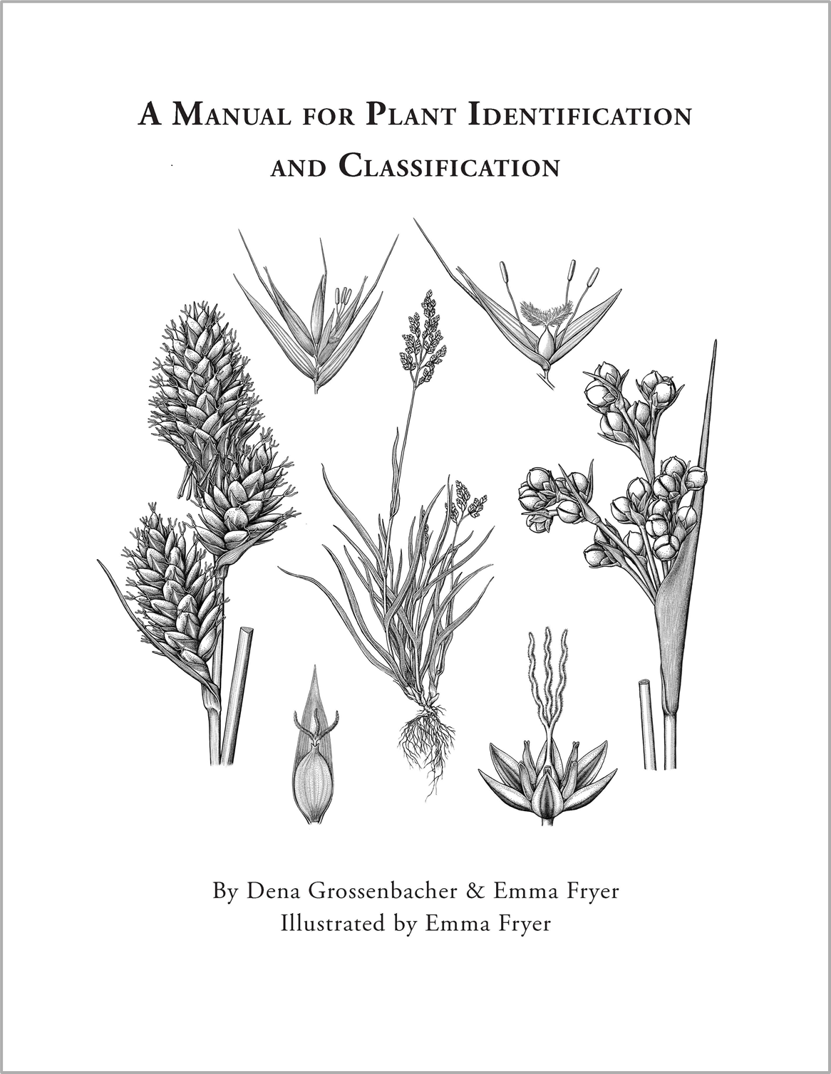 A Manual for Plant Identification and Classification